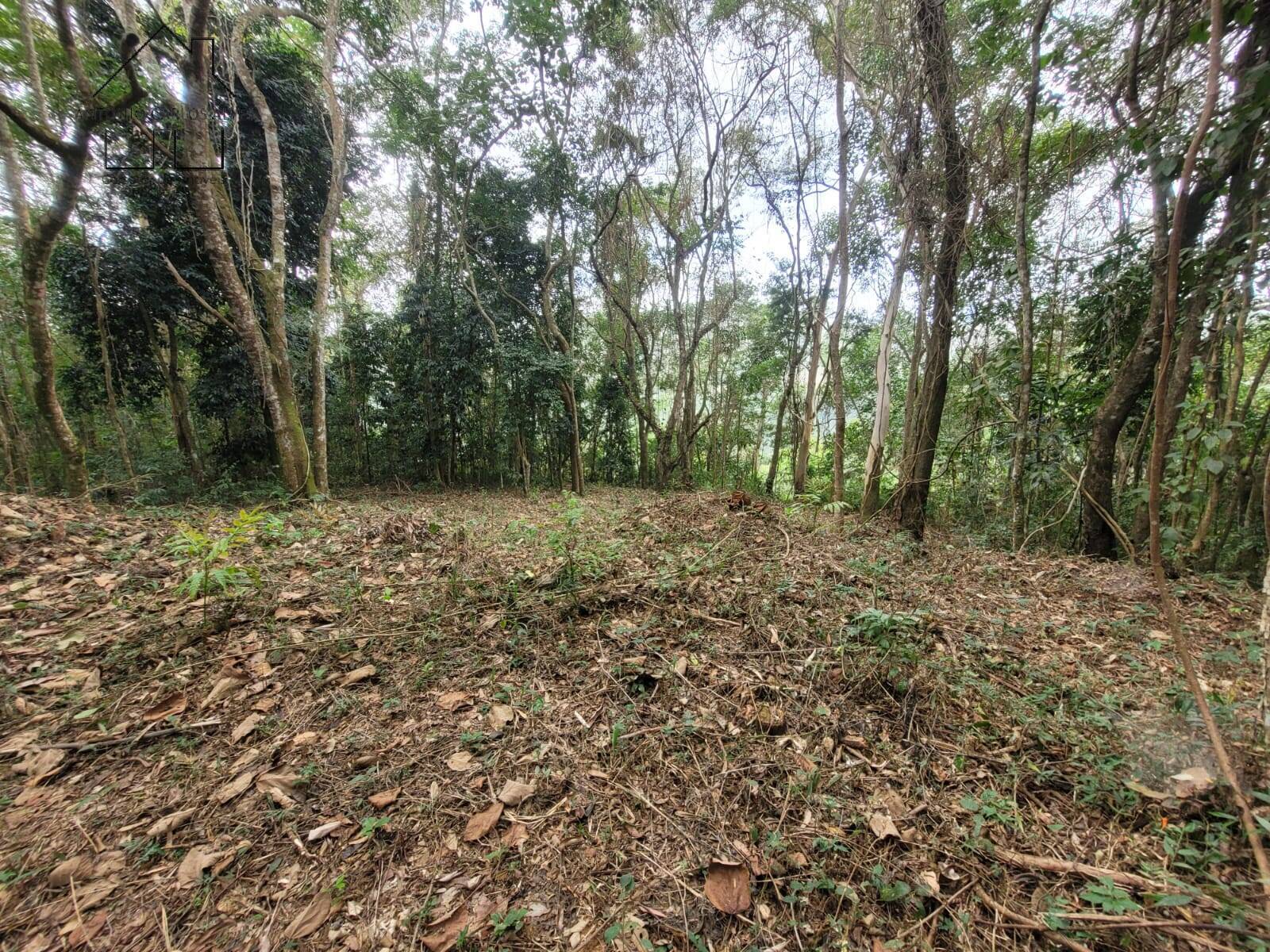 Terreno, 6 hectares - Foto 13