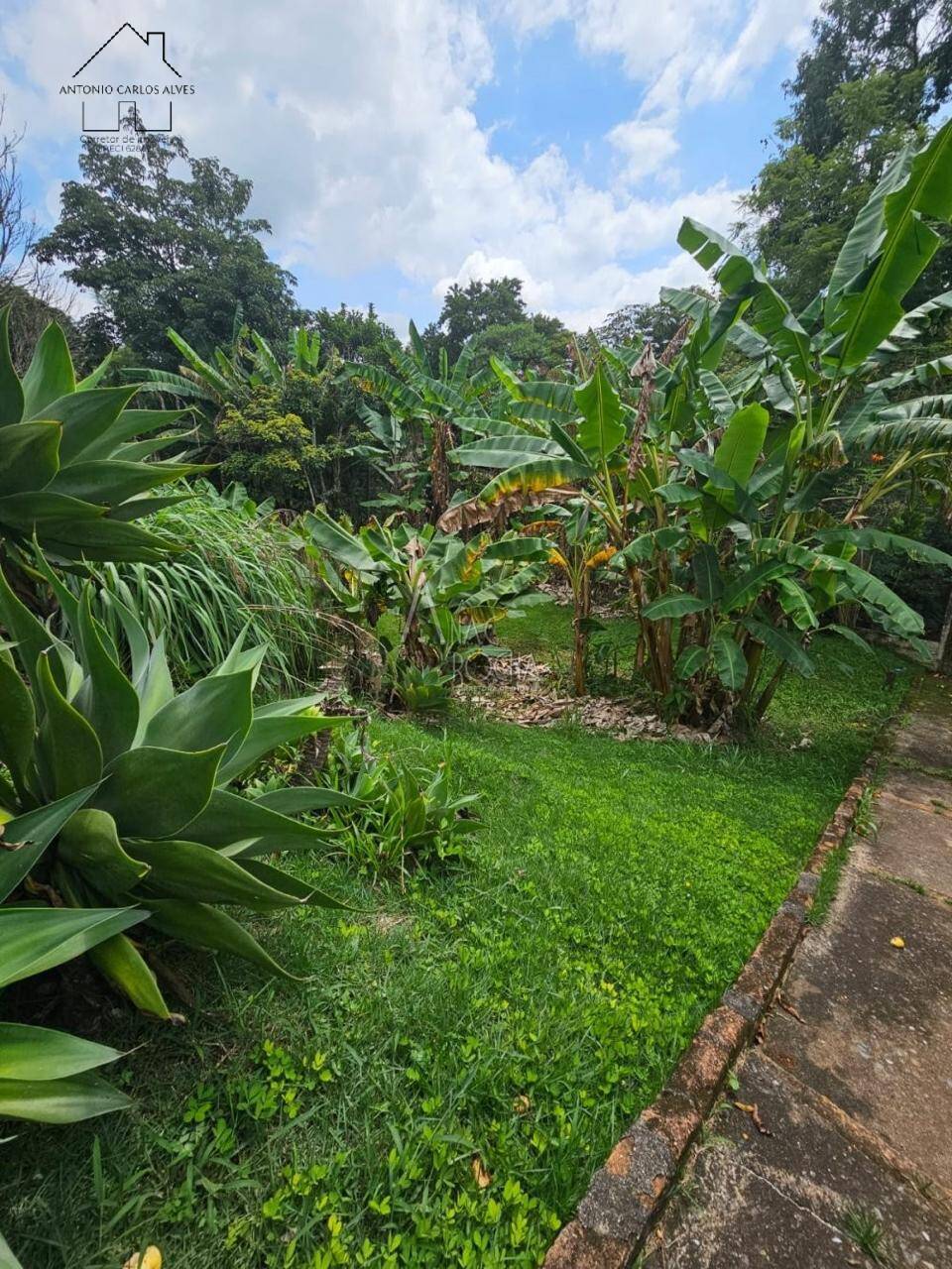 Chácara, 3 quartos, 8950 m² - Foto 21