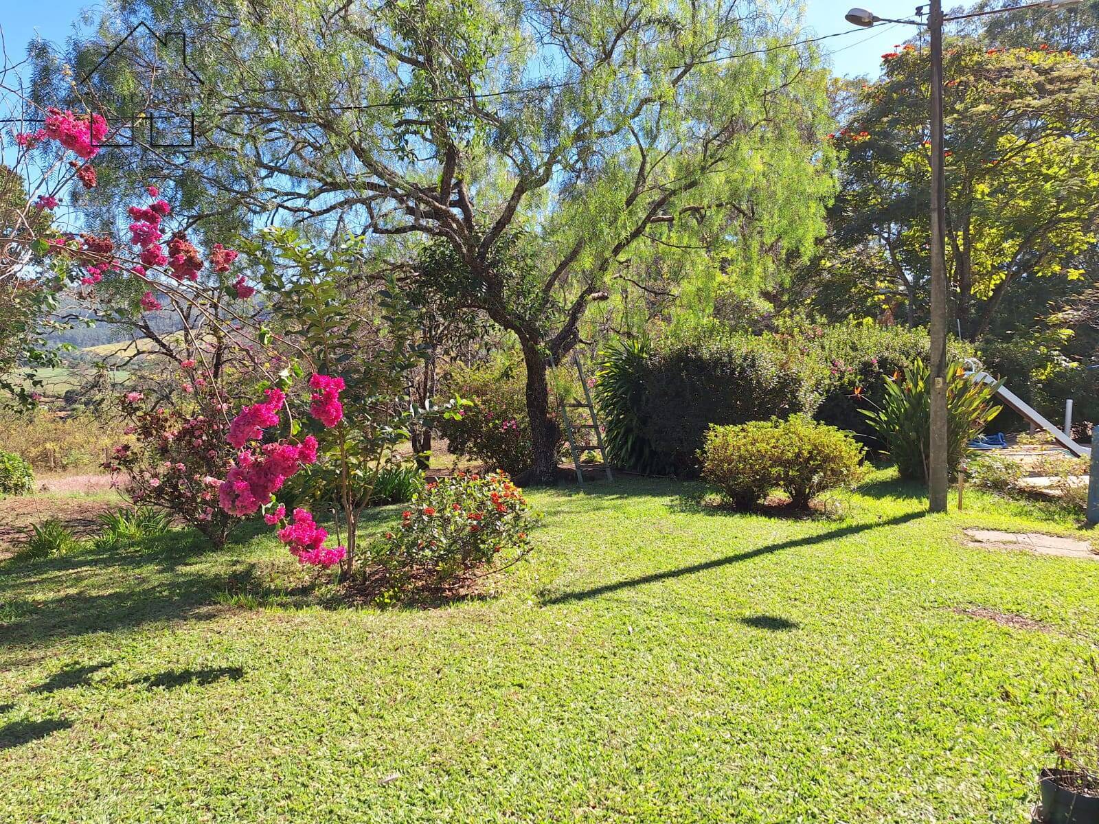Sítio, 6 quartos, 3 hectares - Foto 35