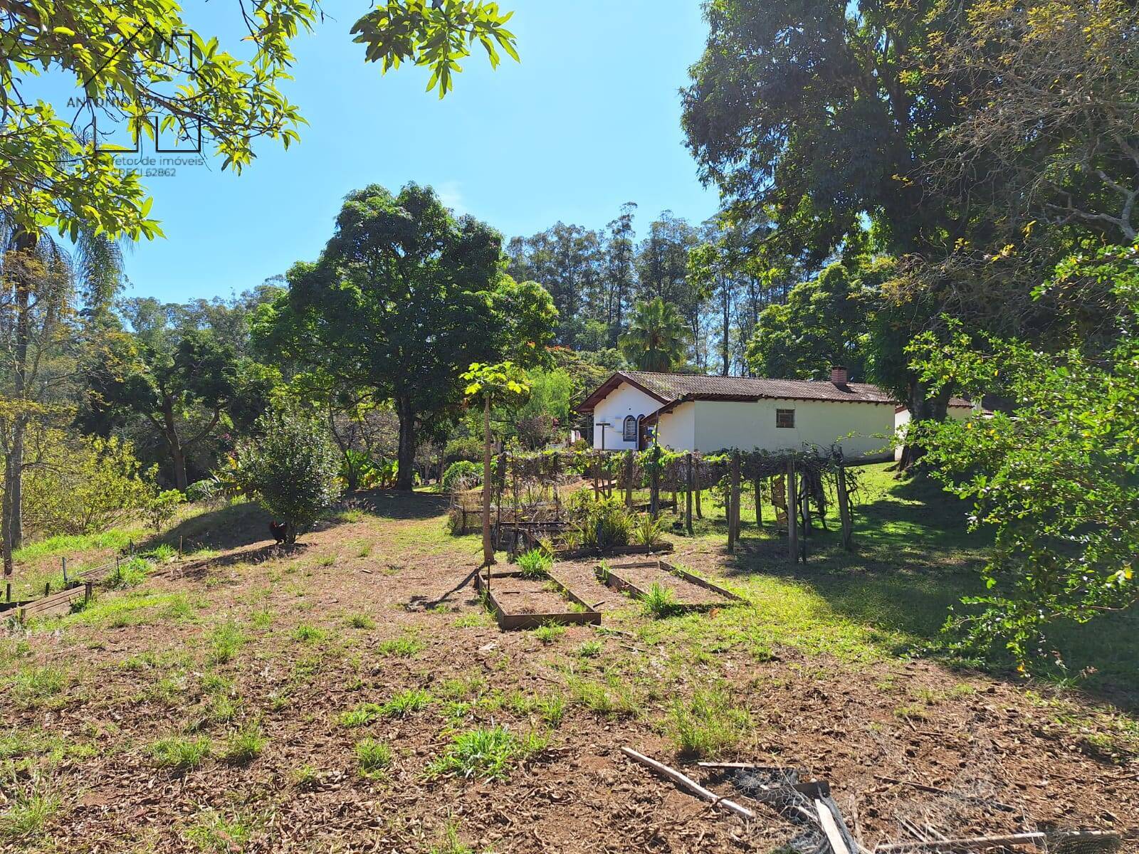 Sítio, 6 quartos, 3 hectares - Foto 41