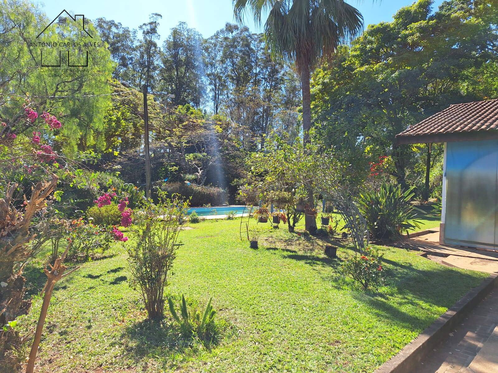 Sítio, 6 quartos, 3 hectares - Foto 38