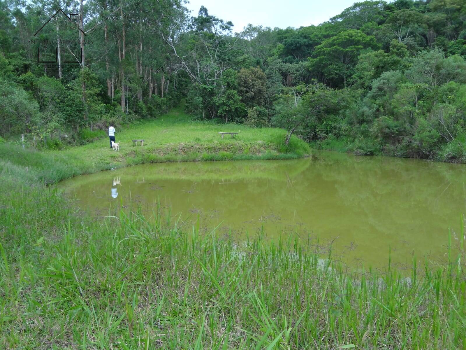 Chácara à venda com 4 quartos, 1000m² - Foto 73
