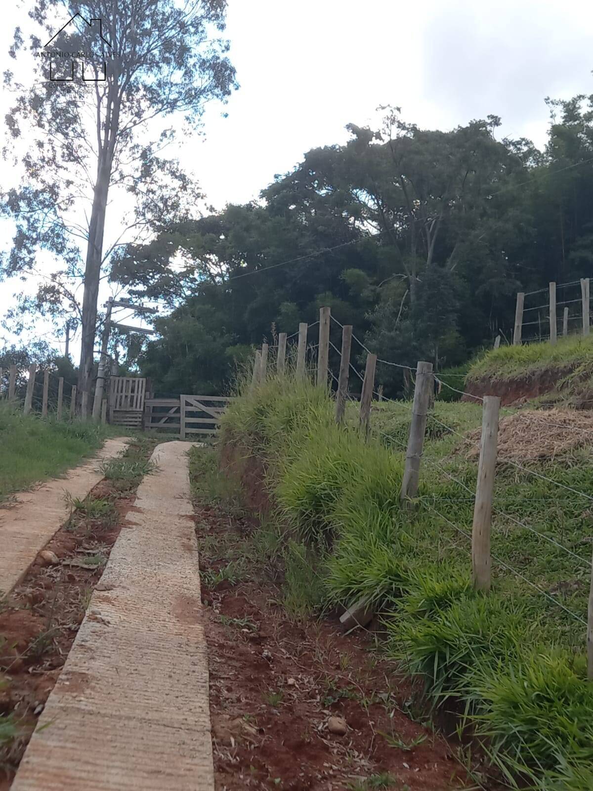 Sítio, 3 quartos, 4 hectares - Foto 28