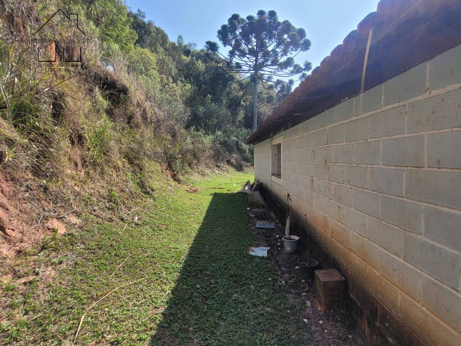 Sítio, 2 quartos, 5 hectares - Foto 16