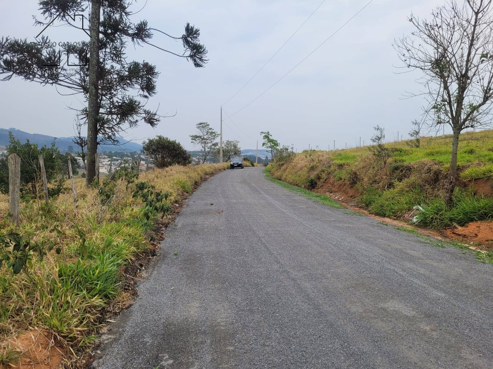 Terreno, 2 hectares - Foto 11