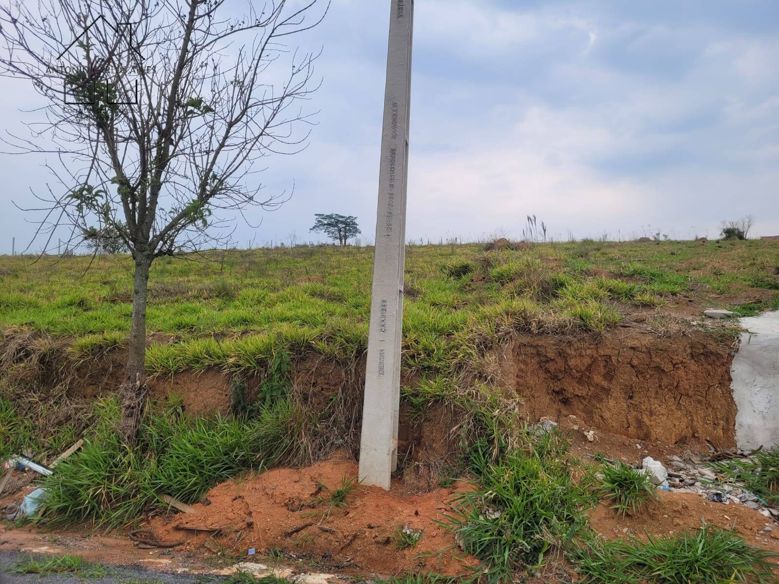 Terreno, 2 hectares - Foto 4