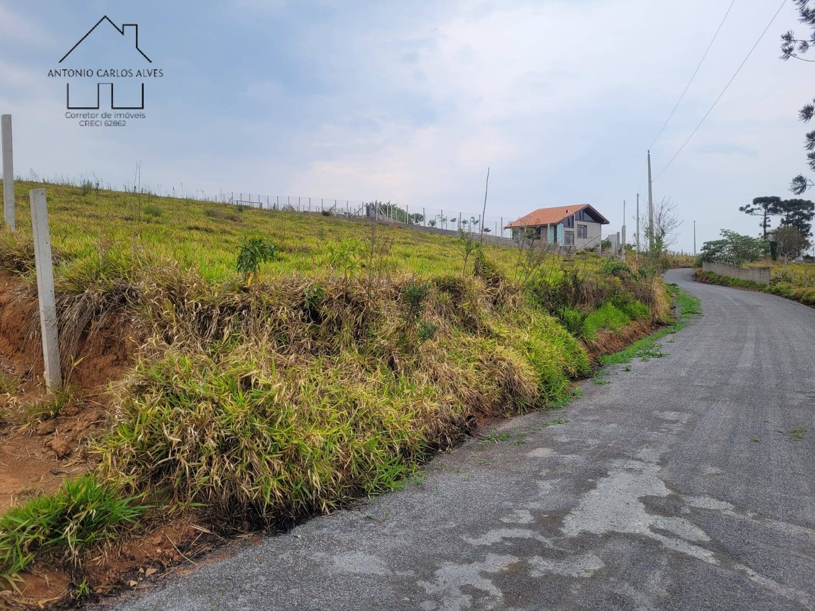 Terreno, 2 hectares - Foto 7