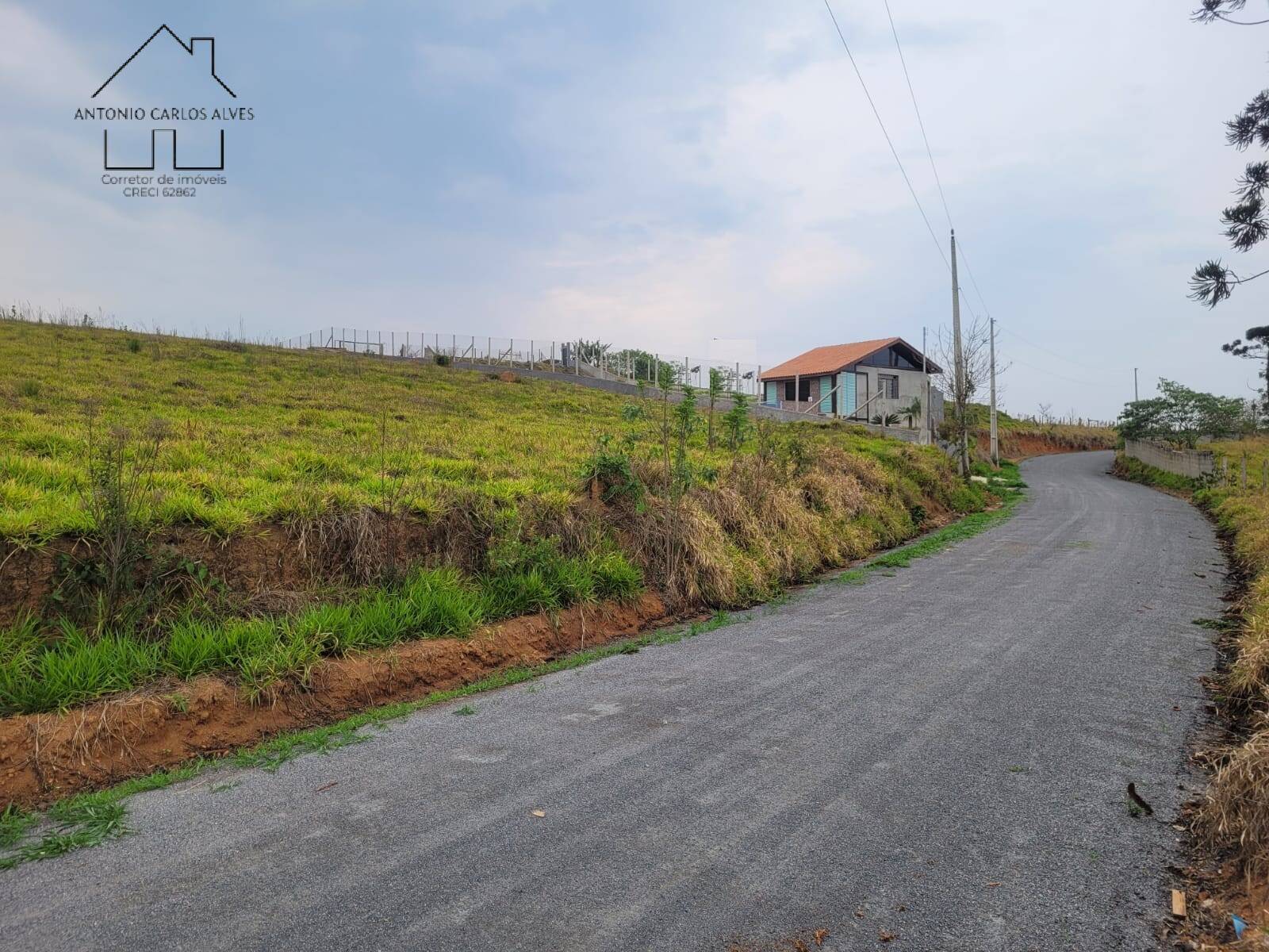 Terreno, 2 hectares - Foto 6