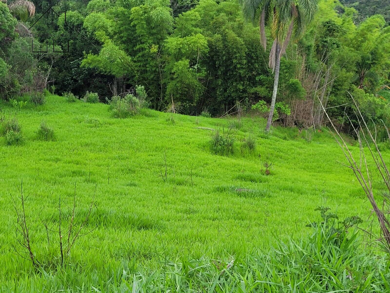 Terreno, 1 hectares - Foto 2