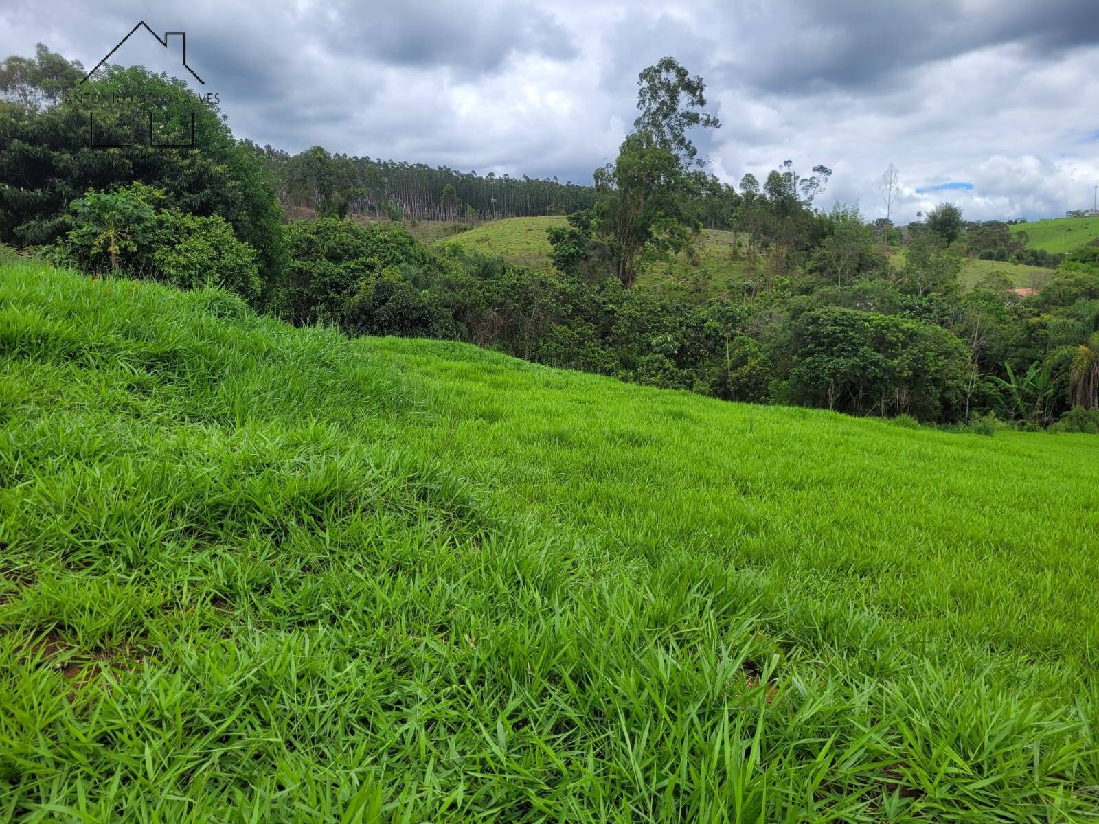 Terreno, 1 hectares - Foto 6