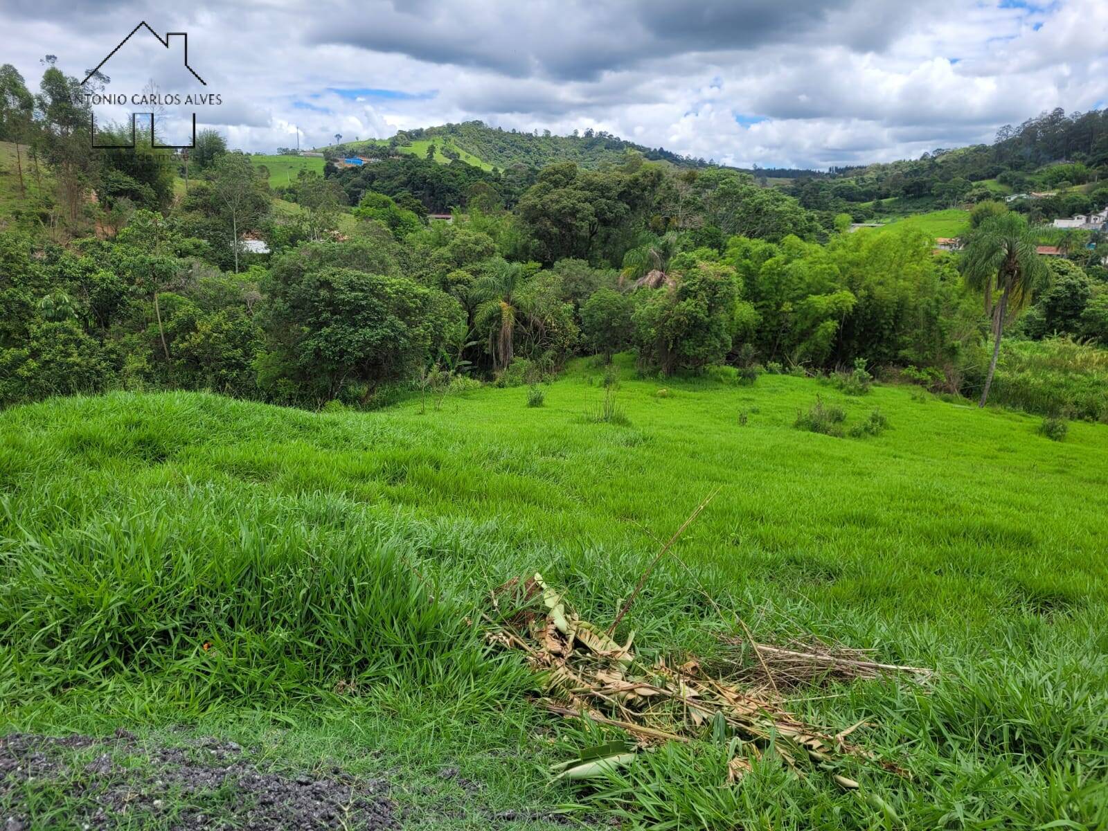 Terreno, 1 hectares - Foto 12