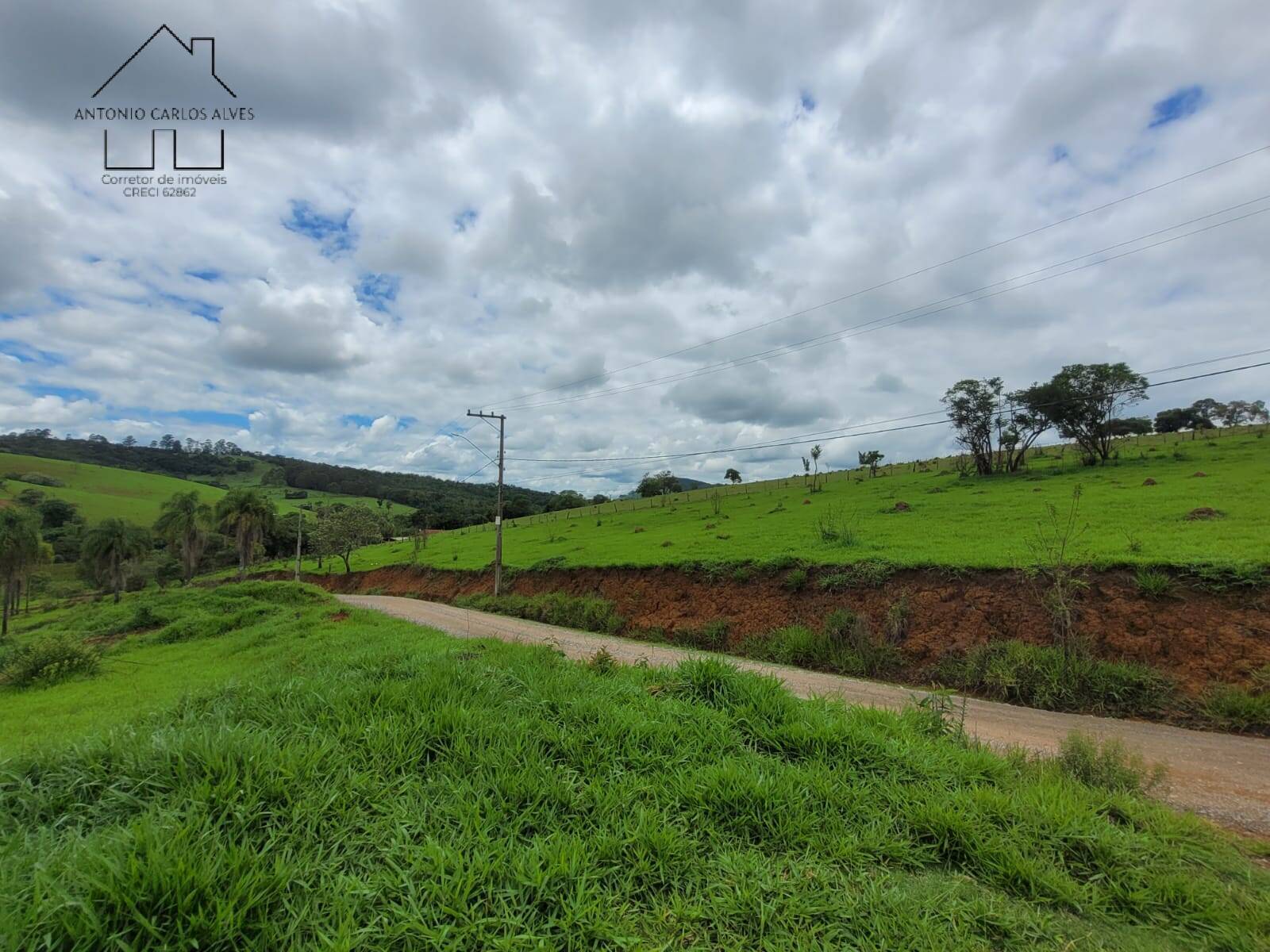 Terreno, 2 hectares - Foto 6
