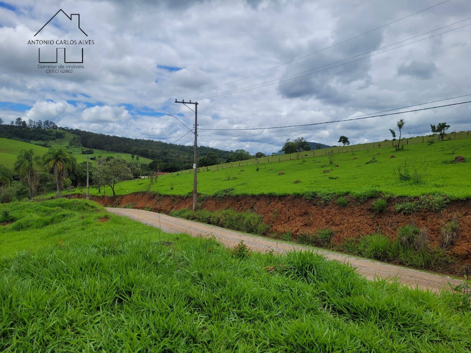 Terreno, 2 hectares - Foto 7