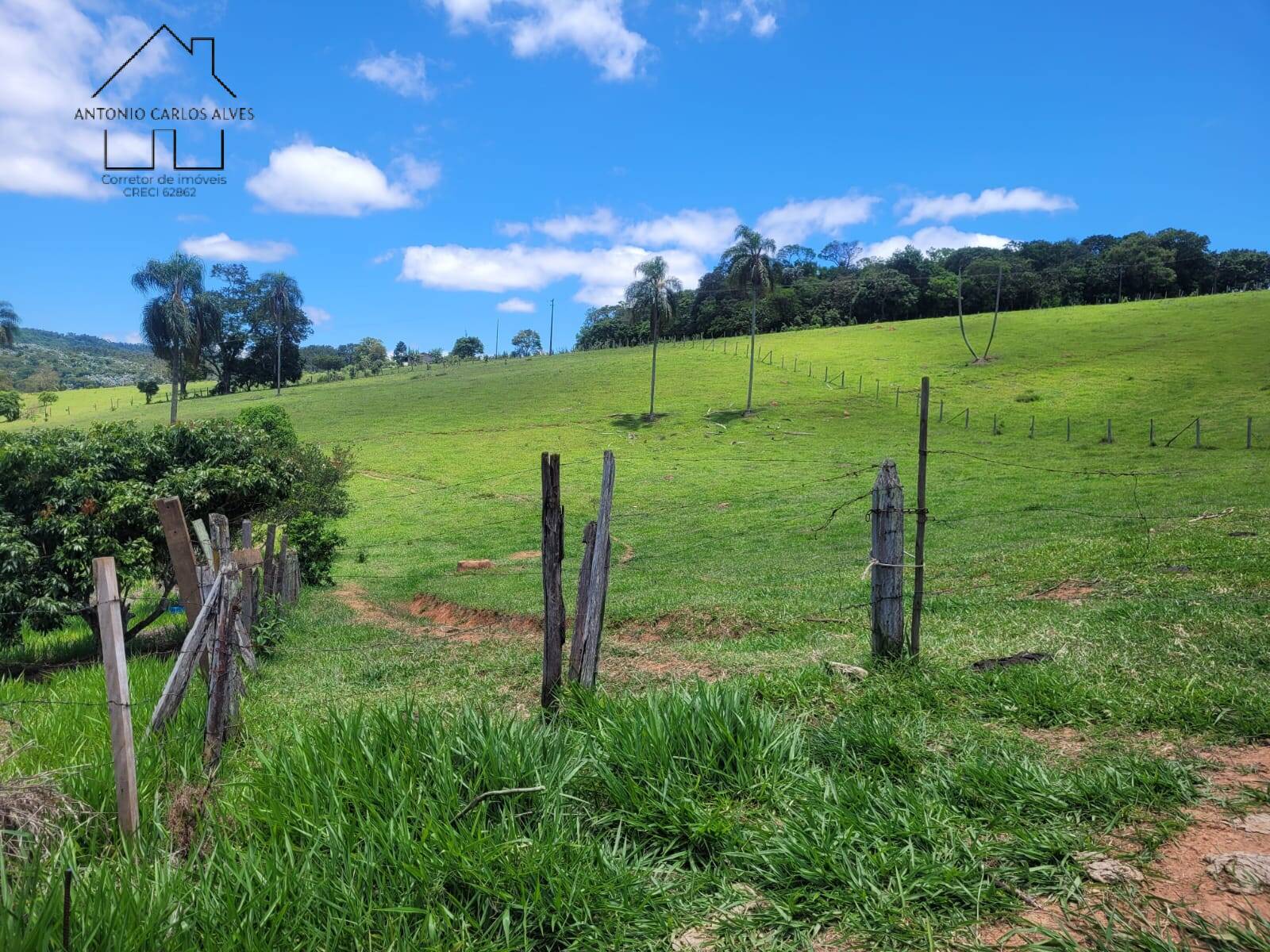 Terreno, 1700 m² - Foto 5