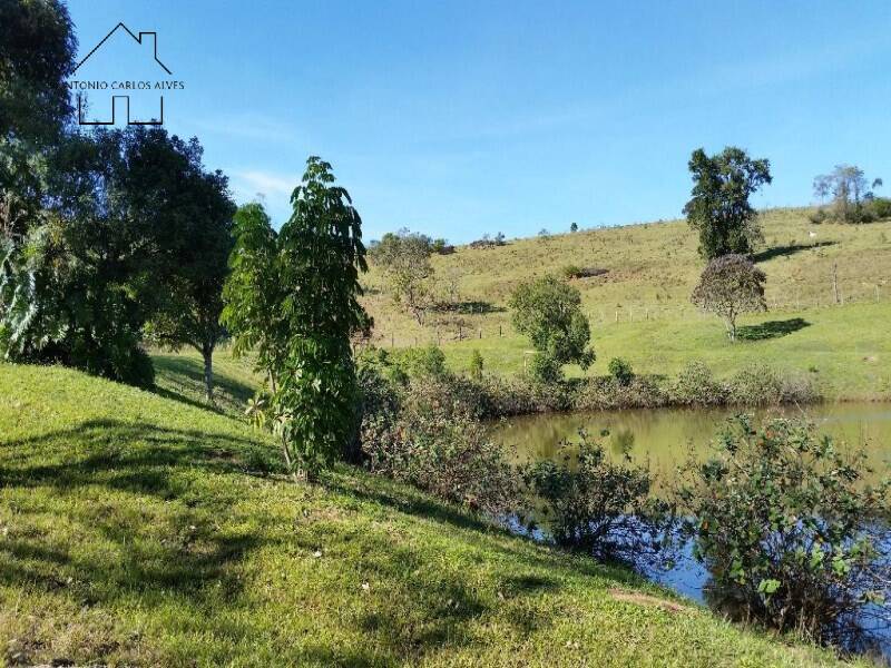 Fazenda, 94 hectares - Foto 1