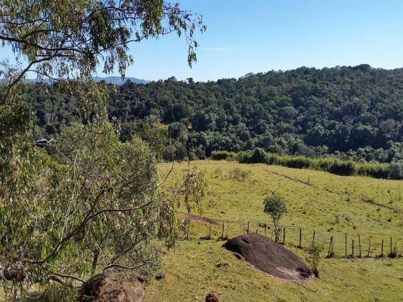 Fazenda, 94 hectares - Foto 8