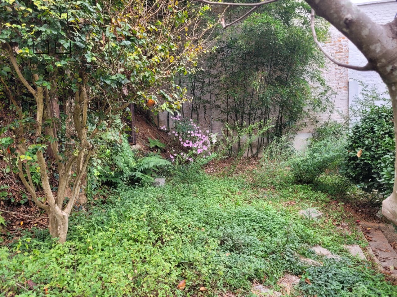 Terreno, 260 m² - Foto 21
