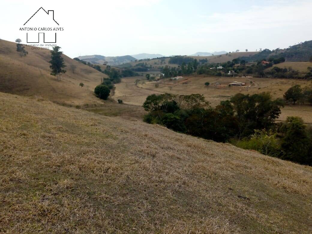 Terreno, 45 hectares - Foto 4