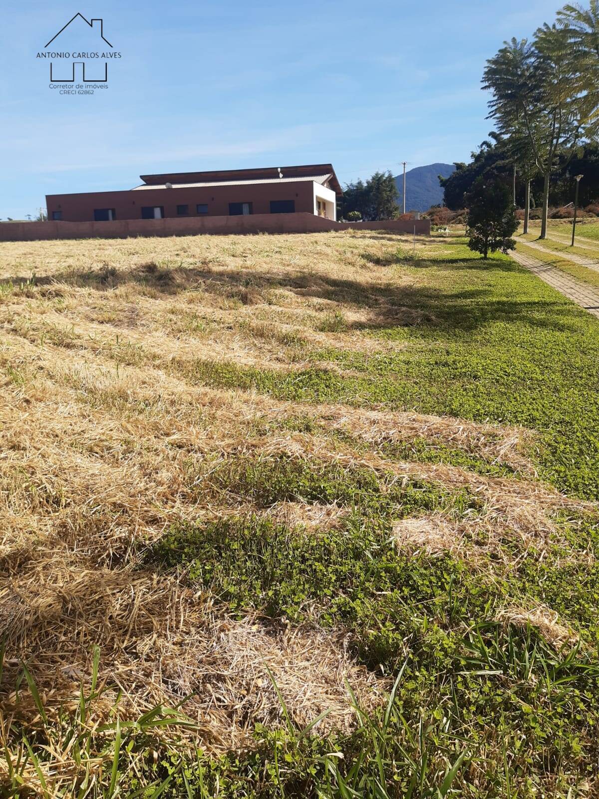 Terreno, 1000 m² - Foto 4