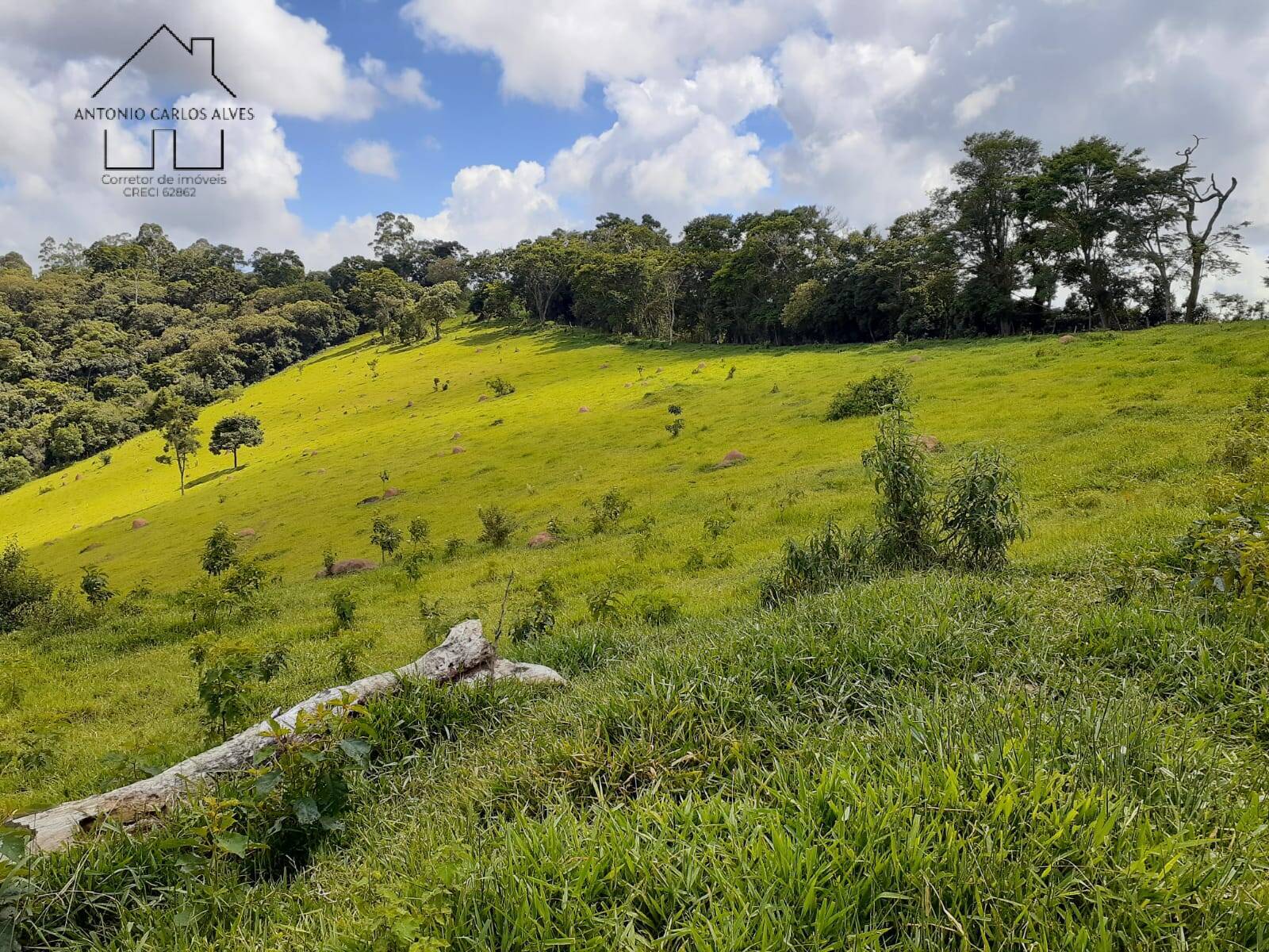 Sítio, 2 quartos, 23 hectares - Foto 16