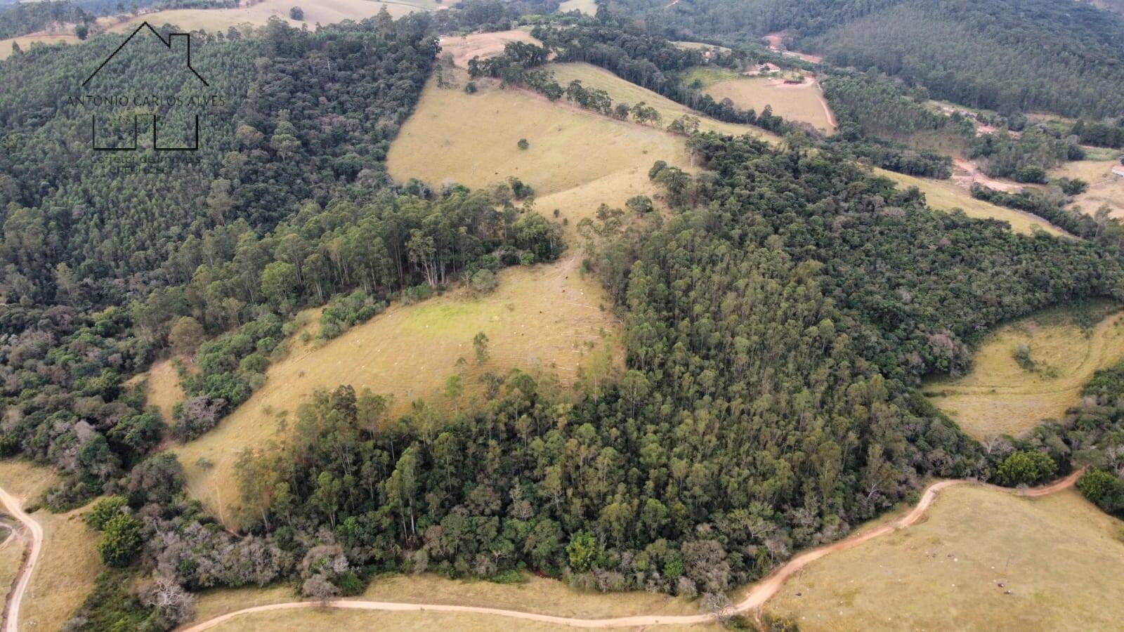 Sítio, 2 quartos, 23 hectares - Foto 19