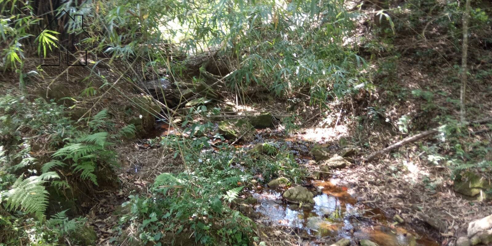 Terreno, 7 hectares - Foto 3