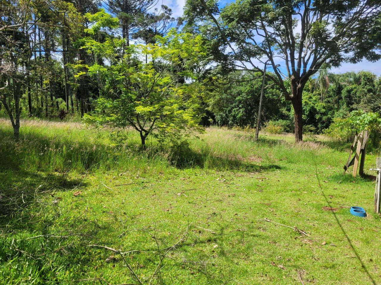 Sítio, 6 quartos, 3 hectares - Foto 37
