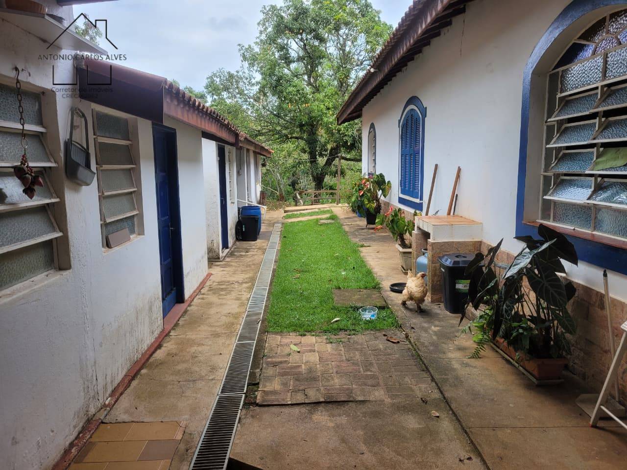 Sítio, 6 quartos, 3 hectares - Foto 66