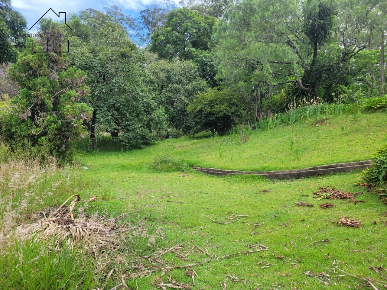 Sítio, 6 quartos, 3 hectares - Foto 74