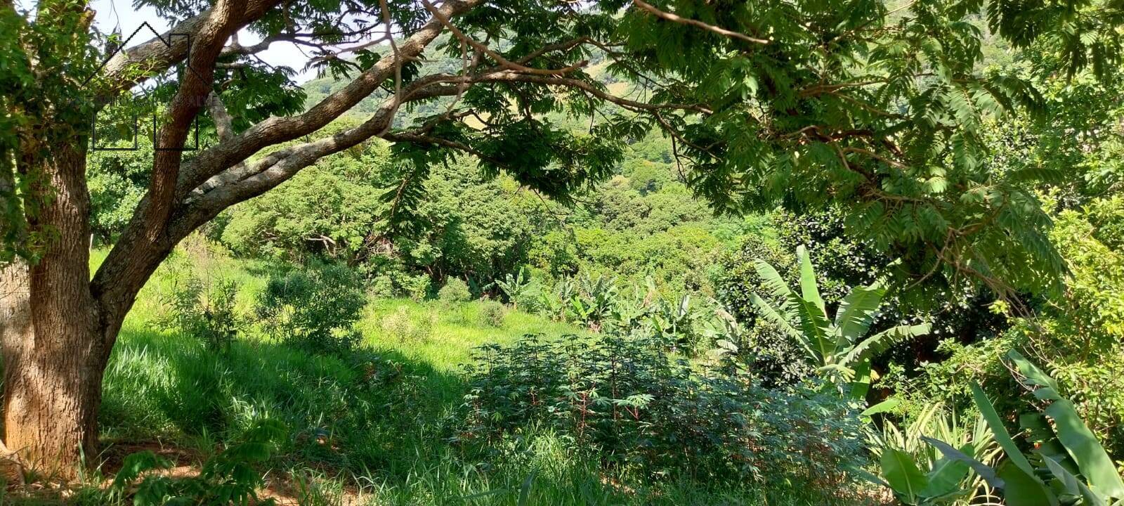 Terreno, 1863 m² - Foto 4