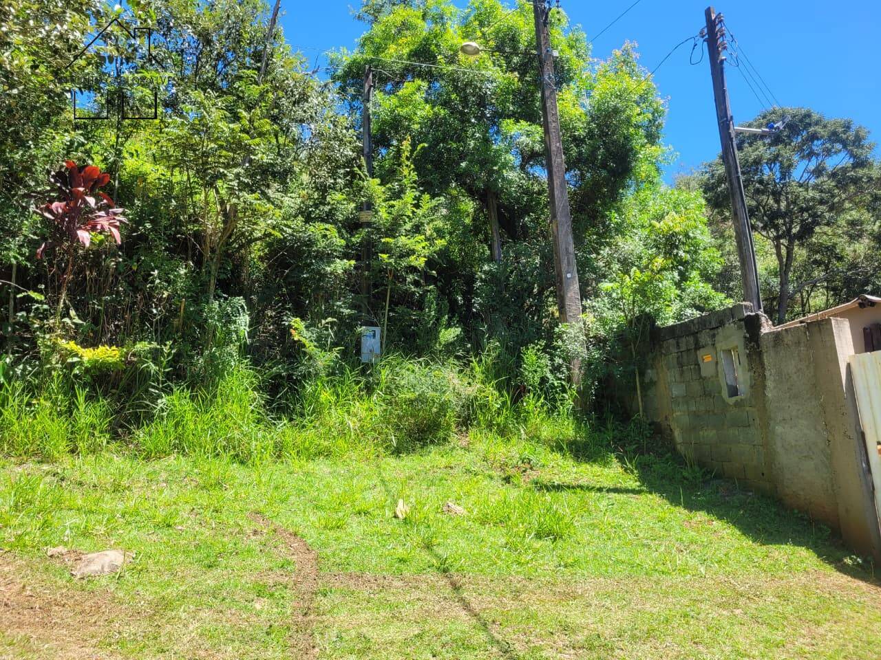 Terreno, 1678 m² - Foto 23