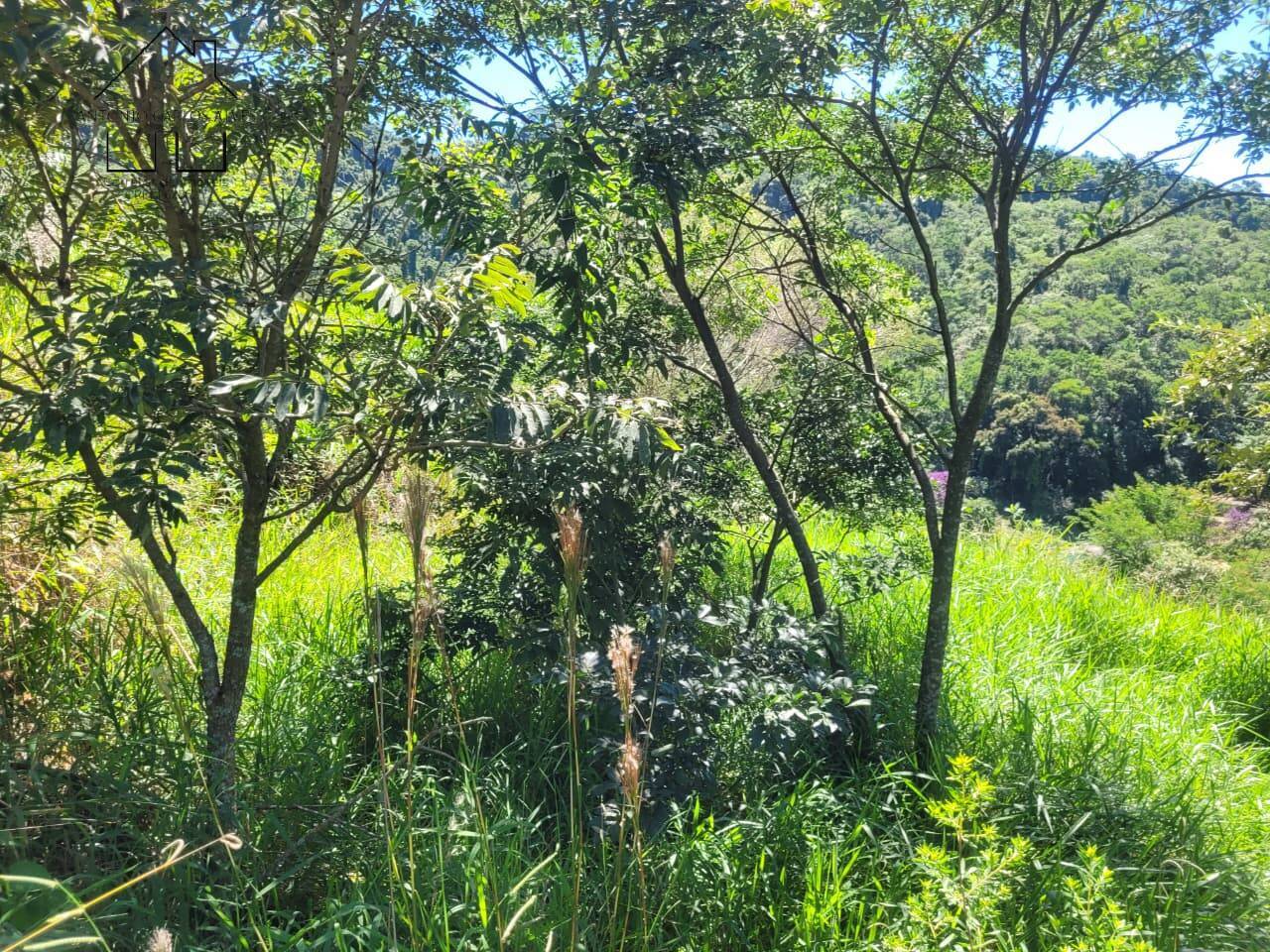 Terreno, 1678 m² - Foto 14