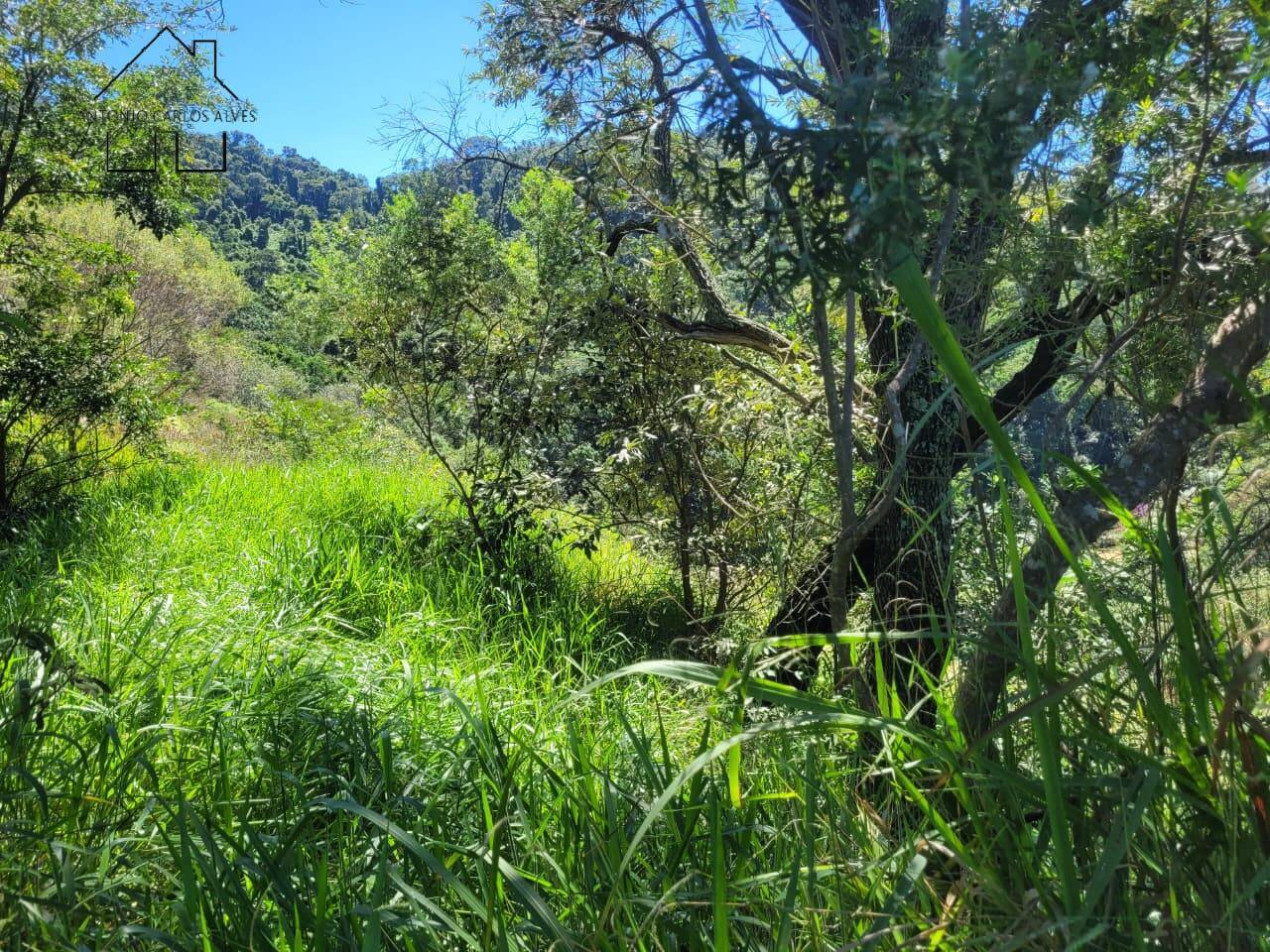 Terreno, 1678 m² - Foto 16