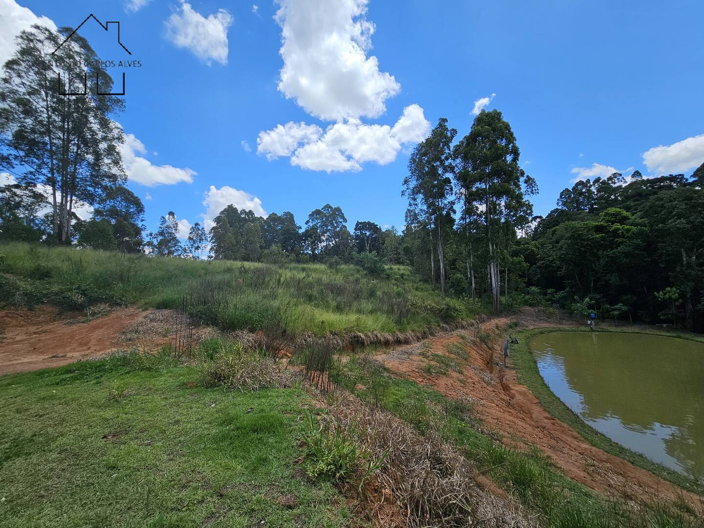 Sítio, 1 quarto, 2 hectares - Foto 15