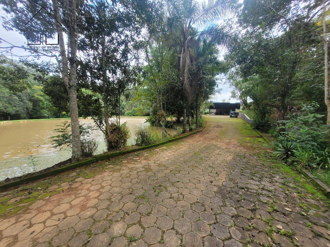 Sítio, 3 quartos, 2 hectares - Foto 38