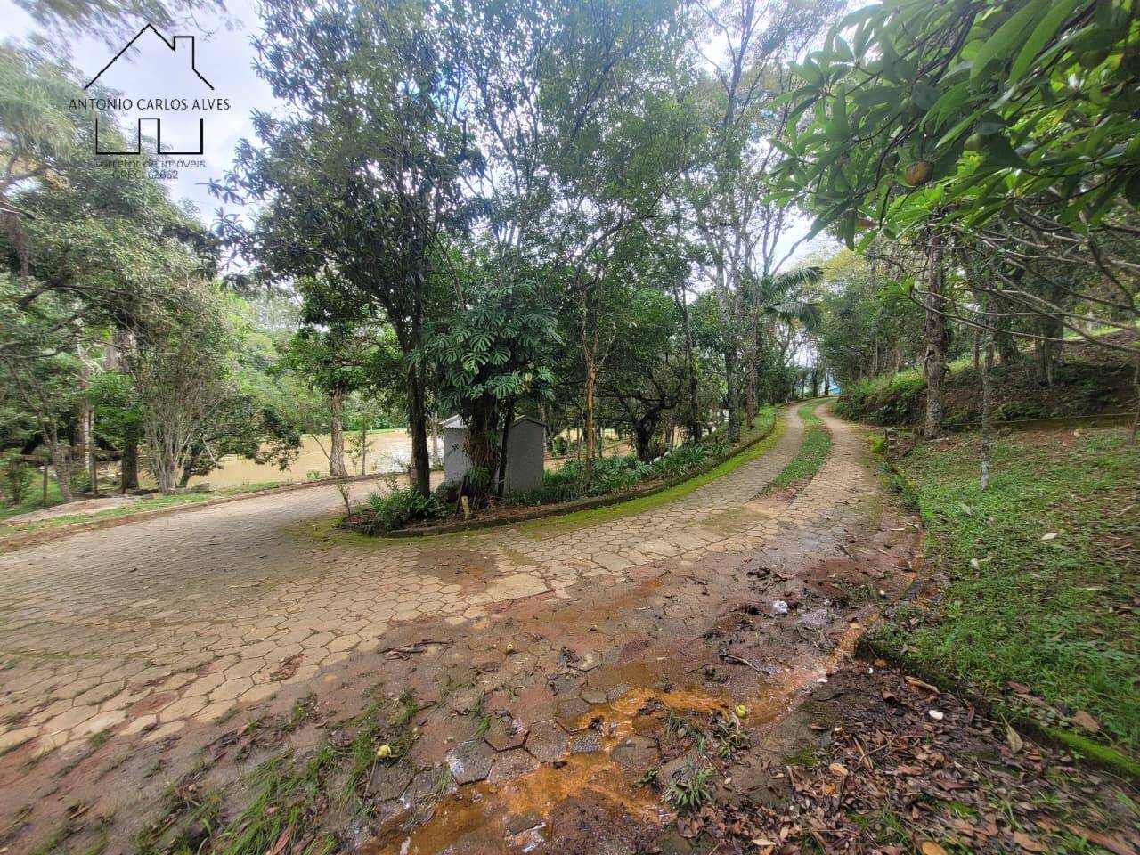 Sítio, 3 quartos, 2 hectares - Foto 43