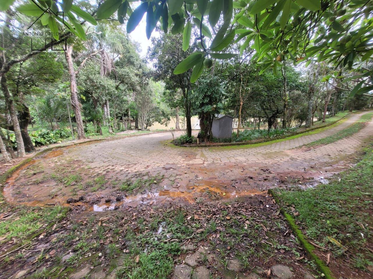 Sítio, 3 quartos, 2 hectares - Foto 44