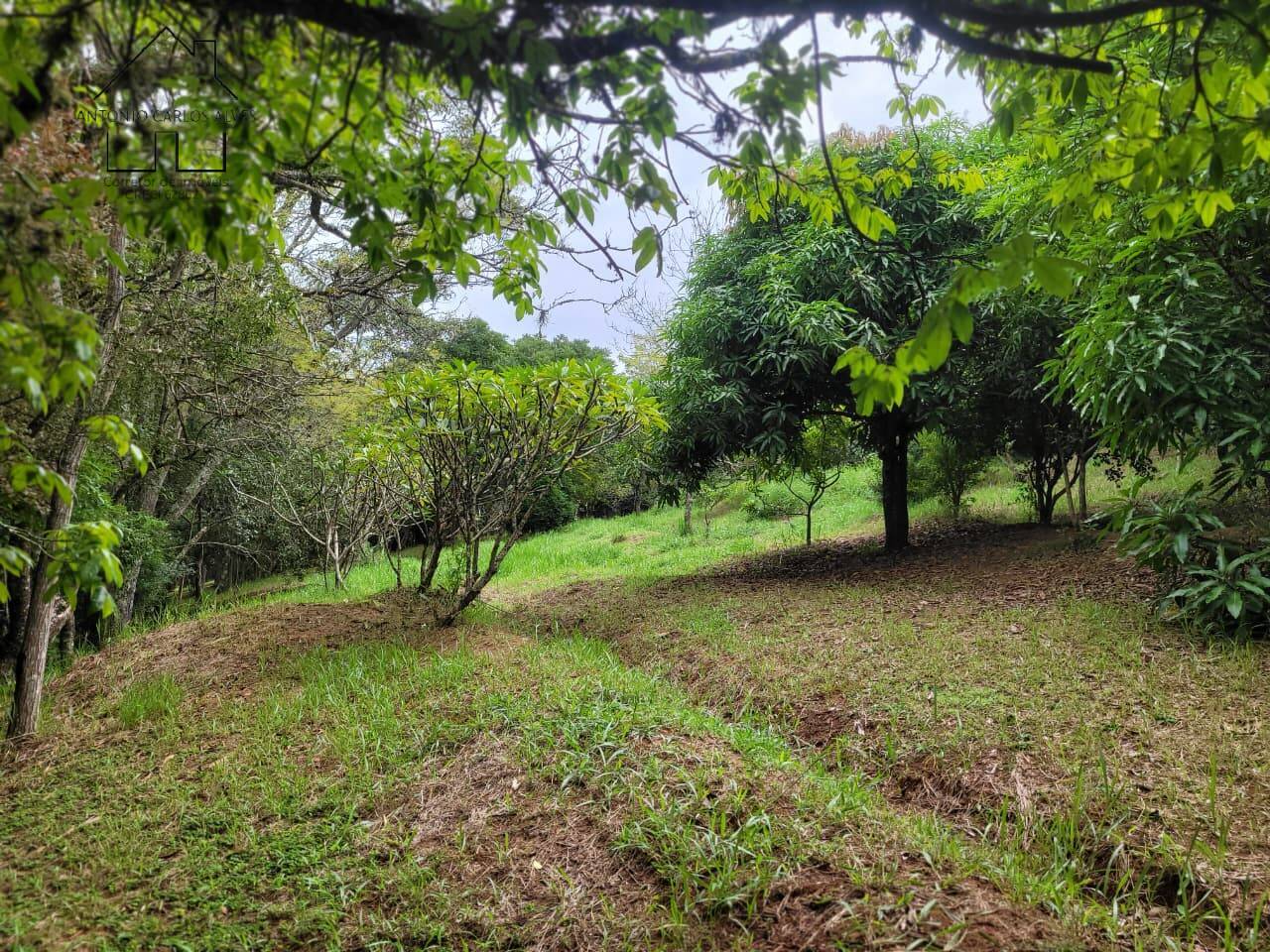 Sítio, 3 quartos, 2 hectares - Foto 48