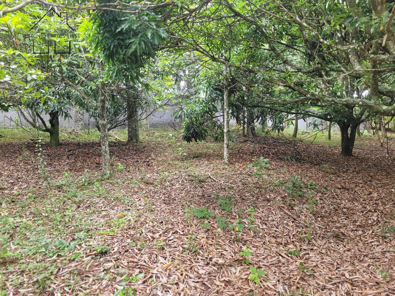 Sítio, 3 quartos, 2 hectares - Foto 49