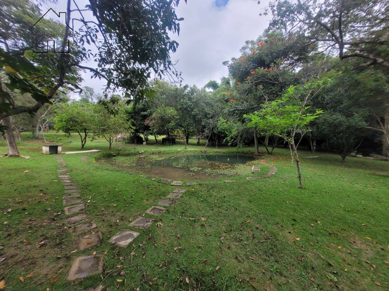 Sítio, 3 quartos, 2 hectares - Foto 61