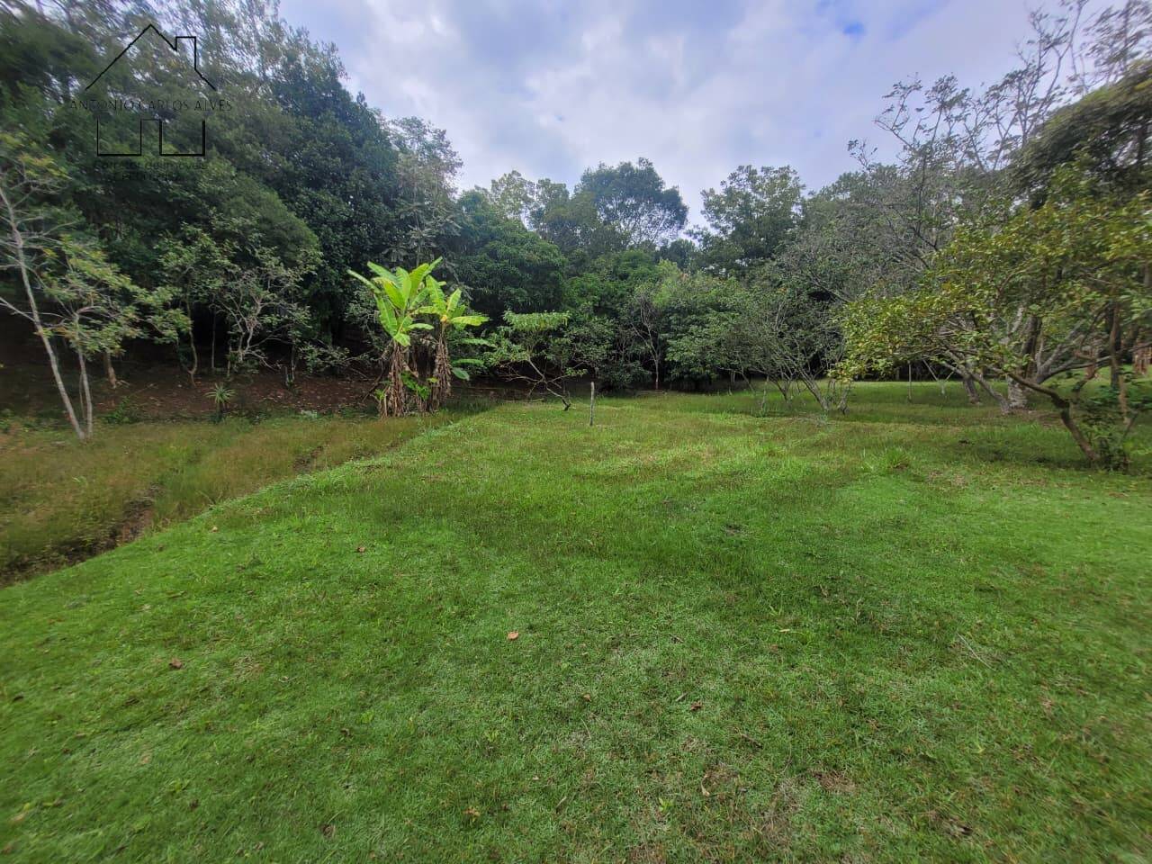Sítio, 3 quartos, 2 hectares - Foto 62