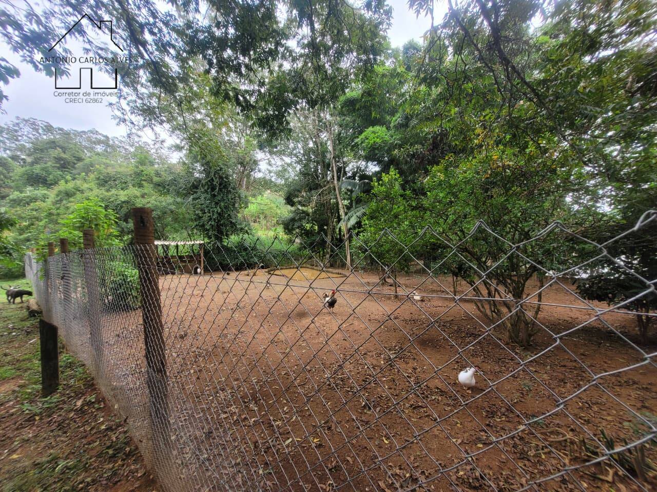 Sítio, 3 quartos, 2 hectares - Foto 66