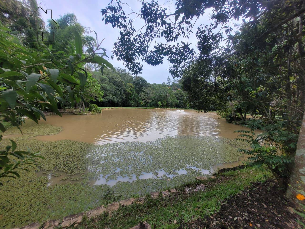 Sítio, 3 quartos, 2 hectares - Foto 65