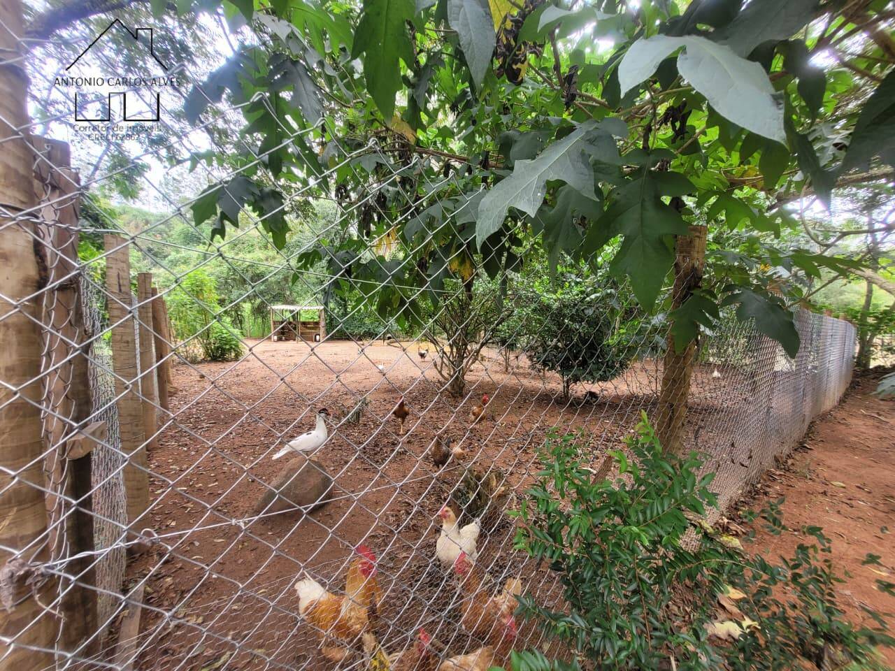 Sítio, 3 quartos, 2 hectares - Foto 67