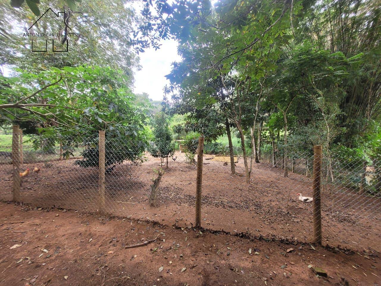 Sítio, 3 quartos, 2 hectares - Foto 68
