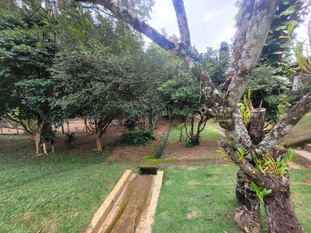 Sítio, 3 quartos, 2 hectares - Foto 72