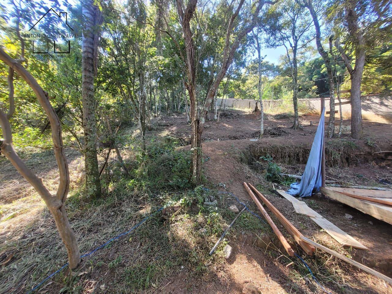 Casa, 3 quartos, 250 m² - Foto 54