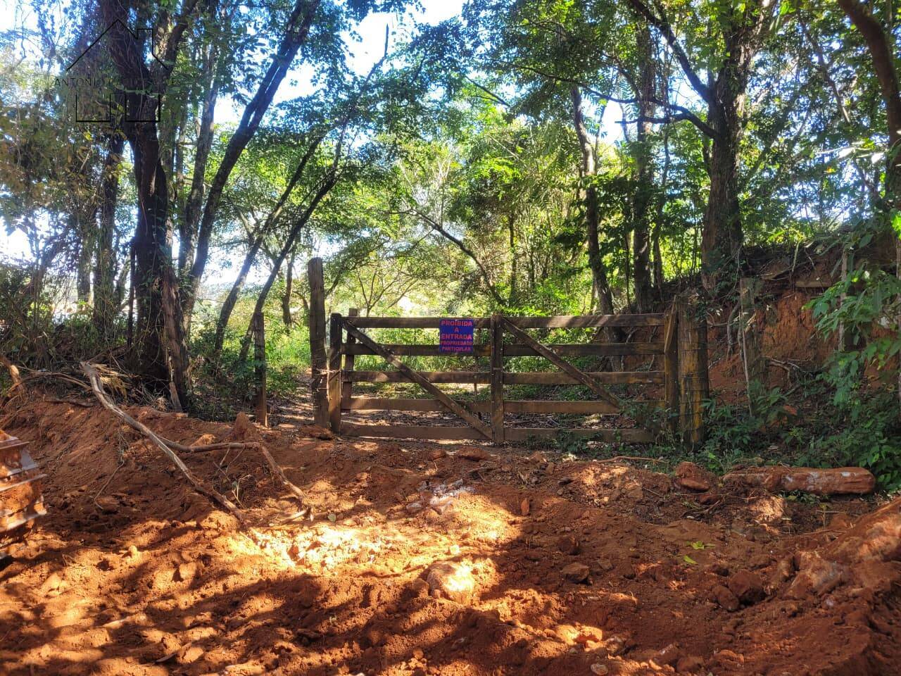 Terreno, 2 hectares - Foto 14