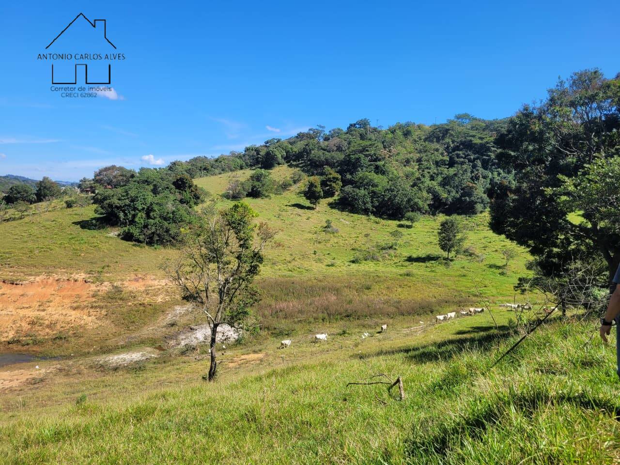 Terreno, 2 hectares - Foto 15