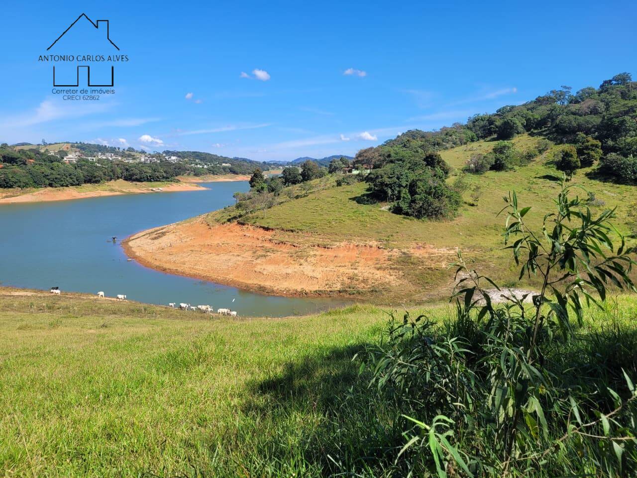 Terreno, 2 hectares - Foto 1
